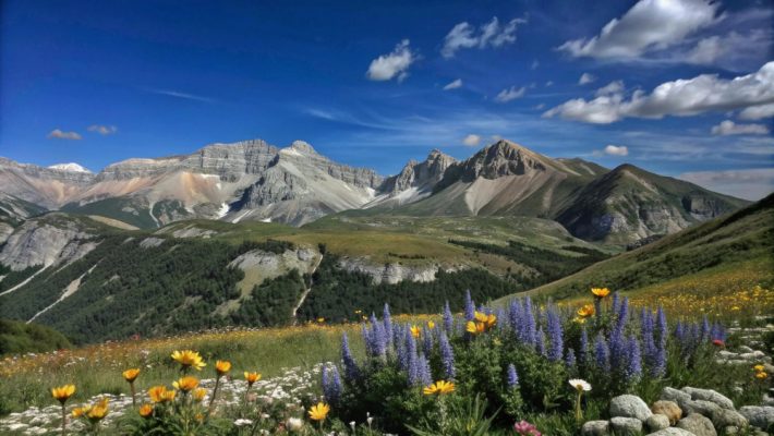 Randonnée dans les Dolomites de Cortina : trek photo et sommets mythiques avec Grand Angle