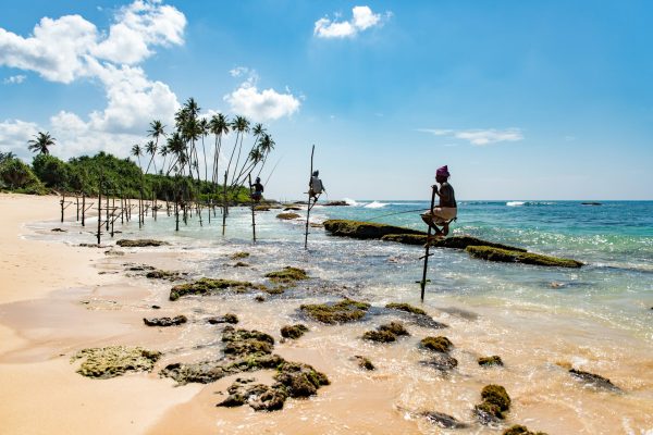 Pécheurs sur échasses au Sri Lanka