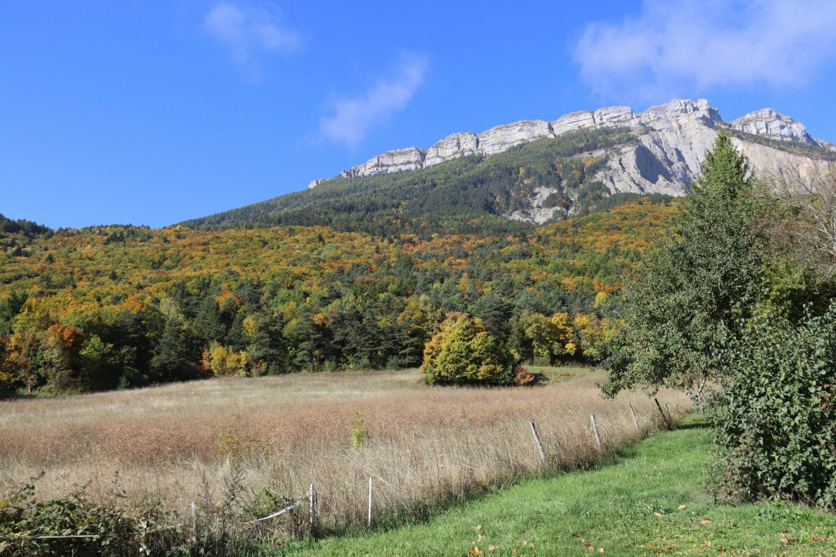 Vue de la campagne sud ouest de la France